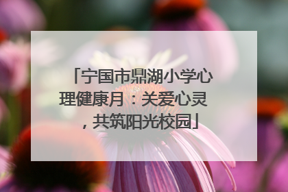宁国市鼎湖小学心理健康月：关爱心灵，共筑阳光校园