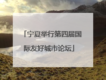 宁夏举行第四届国际友好城市论坛