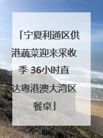 宁夏利通区供港蔬菜迎来采收季 36小时直达粤港澳大湾区餐桌