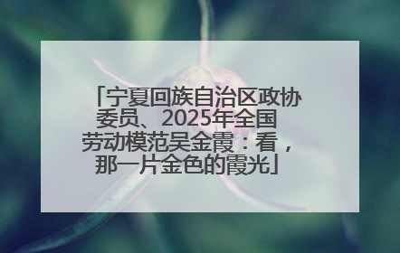 宁夏回族自治区政协委员、2025年全国劳动模范吴金霞：看，那一片金色的霞光