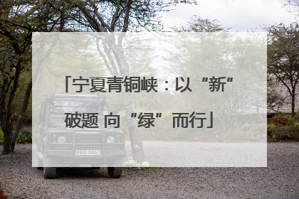 宁夏青铜峡：以“新”破题 向“绿”而行