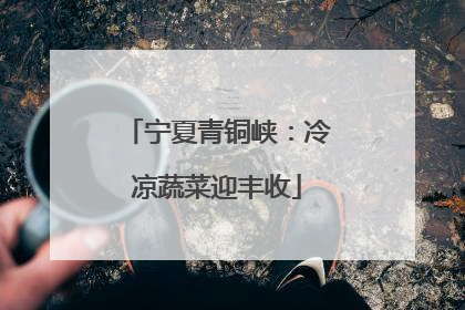 宁夏青铜峡：冷凉蔬菜迎丰收