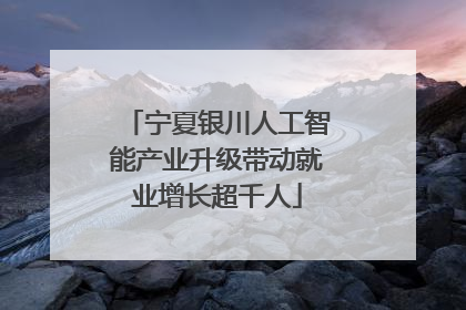 宁夏银川人工智能产业升级带动就业增长超千人