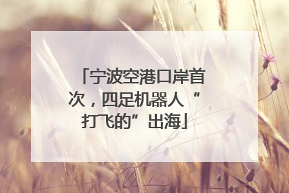 宁波空港口岸首次，四足机器人“打飞的”出海
