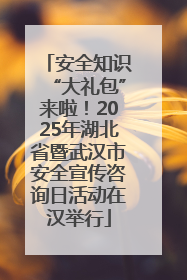 安全知识“大礼包”来啦！2025年湖北省暨武汉市安全宣传咨询日活动在汉举行