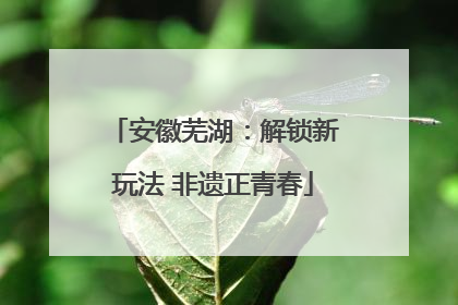 安徽芜湖：解锁新玩法 非遗正青春