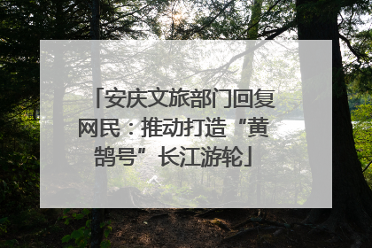 安庆文旅部门回复网民：推动打造“黄鹄号”长江游轮