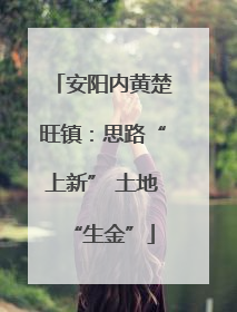 安阳内黄楚旺镇：思路“上新” 土地“生金”