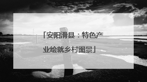 安阳滑县：特色产业绘就乡村图景