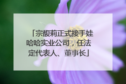 宗馥莉正式接手娃哈哈实业公司，任法定代表人、董事长