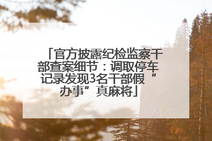 官方披露纪检监察干部查案细节：调取停车记录发现3名干部假“办事”真麻将