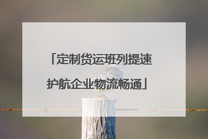 定制货运班列提速 护航企业物流畅通