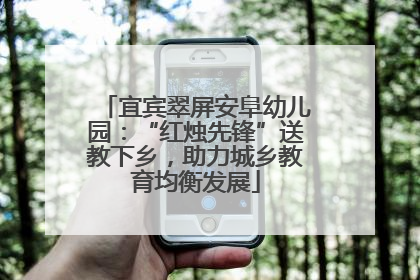 宜宾翠屏安阜幼儿园：“红烛先锋”送教下乡，助力城乡教育均衡发展