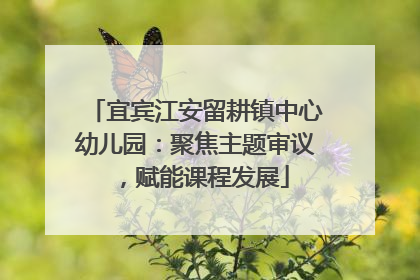 宜宾江安留耕镇中心幼儿园：聚焦主题审议，赋能课程发展