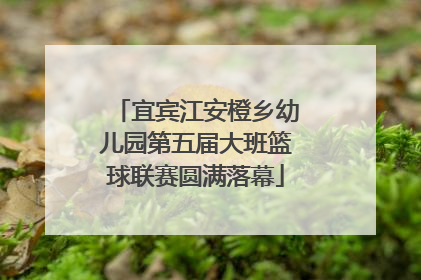 宜宾江安橙乡幼儿园第五届大班篮球联赛圆满落幕