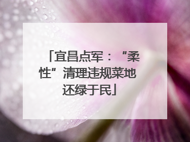 宜昌点军：“柔性”清理违规菜地 还绿于民