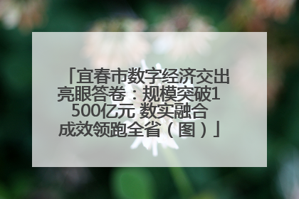 宜春市数字经济交出亮眼答卷：规模突破1500亿元 数实融合成效领跑全省（图）