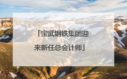 宝武钢铁集团迎来新任总会计师