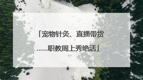 宠物针灸、直播带货……职教周上秀绝活