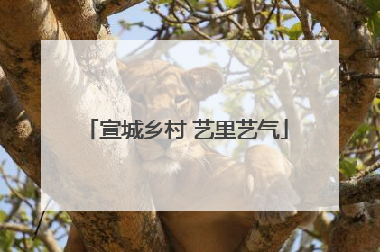 宣城乡村 艺里艺气