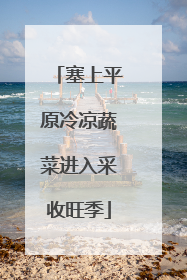 塞上平原冷凉蔬菜进入采收旺季