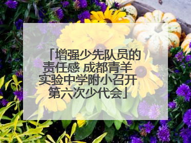 增强少先队员的责任感 成都青羊实验中学附小召开第六次少代会