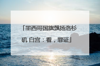 墨西哥国旗飘扬洛杉矶 白宫：看，罪证