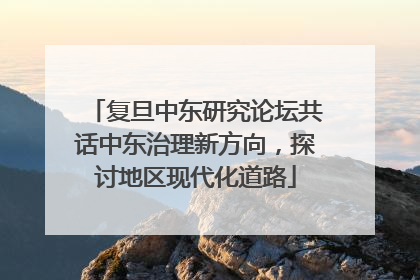 复旦中东研究论坛共话中东治理新方向，探讨地区现代化道路