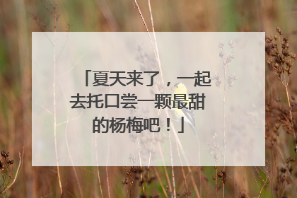 夏天来了，一起去托口尝一颗最甜的杨梅吧！