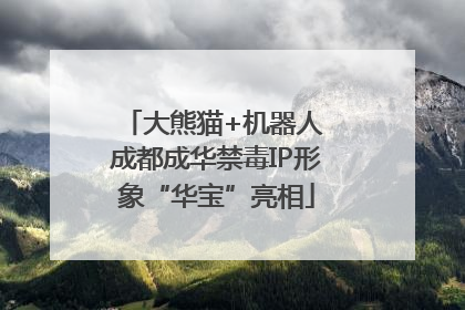 大熊猫+机器人 成都成华禁毒IP形象“华宝”亮相