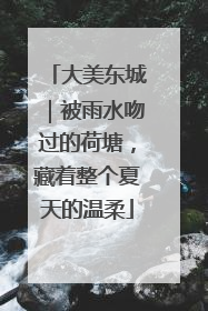 大美东城｜被雨水吻过的荷塘，藏着整个夏天的温柔