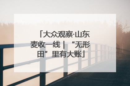 大众观察·山东麦收一线｜“无形田”里有大账