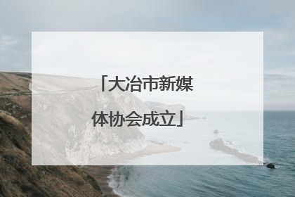 大冶市新媒体协会成立