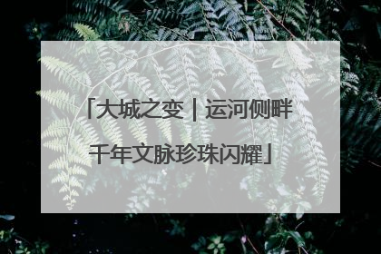 大城之变｜运河侧畔 千年文脉珍珠闪耀