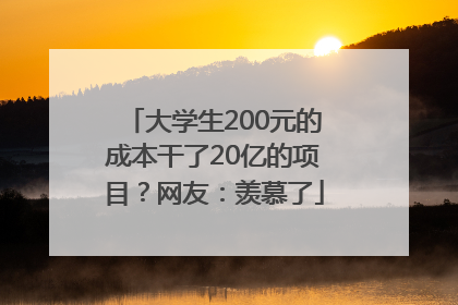大学生200元的成本干了20亿的项目？网友：羡慕了