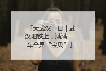 大武汉一日｜武汉地铁上，满满一车全是“宝贝”