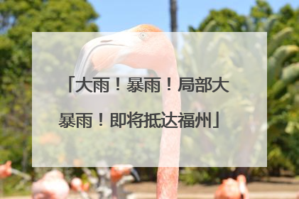 大雨！暴雨！局部大暴雨！即将抵达福州
