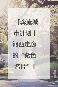 奔流城市计划丨河西走廊的“紫色名片”