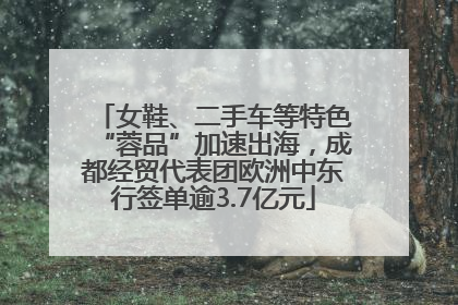 女鞋、二手车等特色“蓉品”加速出海，成都经贸代表团欧洲中东行签单逾3.7亿元