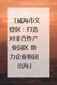 威海市文登区：打造对非合作产业园区 助力企业抱团出海
