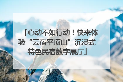 心动不如行动！快来体验“云宿平顶山”沉浸式特色民宿数字展厅