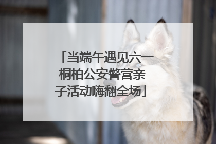当端午遇见六一 桐柏公安警营亲子活动嗨翻全场