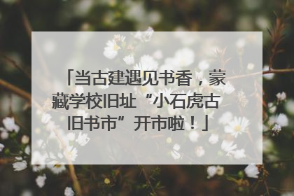 当古建遇见书香，蒙藏学校旧址“小石虎古旧书市”开市啦！