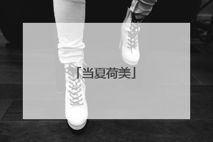 当夏荷美
