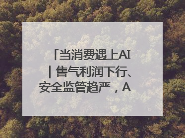 当消费遇上AI｜售气利润下行、安全监管趋严，AI浪潮下城燃企业如何破局
