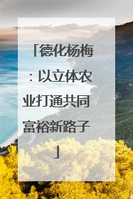 德化杨梅：以立体农业打通共同富裕新路子