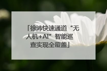 徐沛快速通道“无人机+AI”智能巡查实现全覆盖
