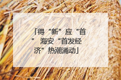 得“新”应“首” 海安“首发经济”热潮涌动