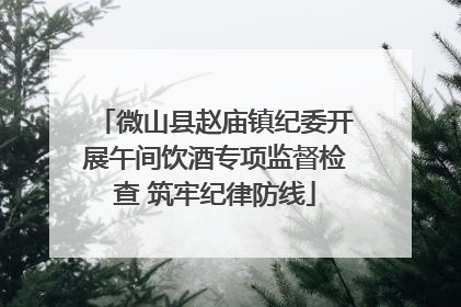 微山县赵庙镇纪委开展午间饮酒专项监督检查 筑牢纪律防线