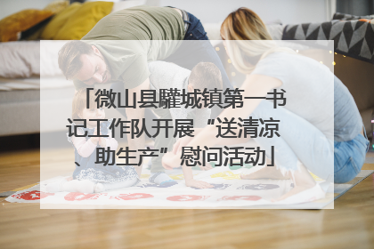 微山县驩城镇第一书记工作队开展“送清凉、助生产”慰问活动